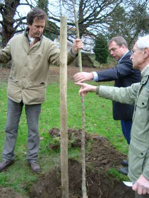 Un nouvel arbre dans le parc du Coullemont à Grez-Doiceau -- 06/12/08 Un nouvel arbre dans le parc du Coullemont à Grez-Doiceau -- 06/12/08