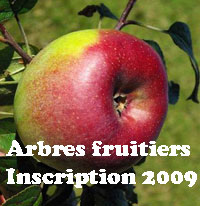 Des anciennes essences locales d'arbres fruitiers dans votre jardin. -- 01/11/09 Des anciennes essences locales d'arbres fruitiers dans votre jardin. -- 01/11/09