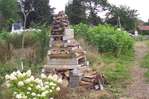 Un HLM � insectes -- 27/08/10