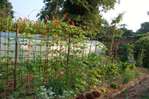 La d�couverte des jardins naturels (2)  -- 18/10/08