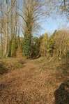 A la rue du Gauwin, les amis des sentiers sont pass�s. -- 07/11/08