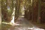 En quoi consiste la r�habilitation du chemin n�21: Le Chabut(Guertechin) -- 08/09/09