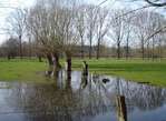 Le r�seau �cologique � Grez-Doiceau -- 05/11/08