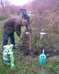 La semaine de l�arbre fut aussi un �v�nement � Pecrot. -- 01/12/08