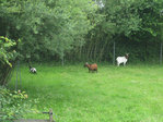 La d�couverte des jardins naturels (1) -- 18/10/08