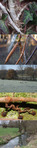 Promenade autour de Grez -- 30/03/11