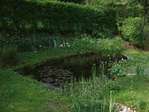 Un jardin: terre d'accueil pour la bio diversit� -- 08/05/11