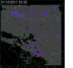 Les feux d'artifice du nouvel an � l'origine d'un envol massif des oiseaux -- 19/01/12